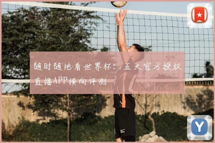 随时随地看世界杯：五大官方授权直播APP横向评测