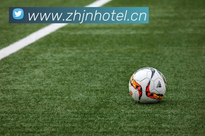 半岛在线登录首页服务体系